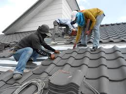 Best Metal Roofing Installation  in Lakeland, MN